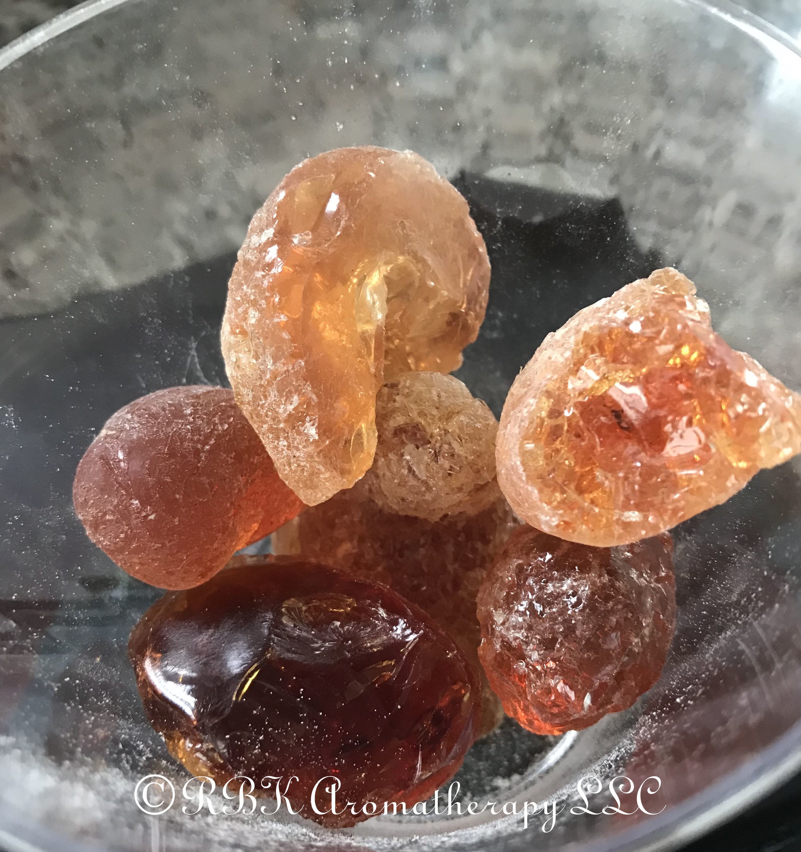gum arabic known as acacia gum was collected from Acacia nilotica